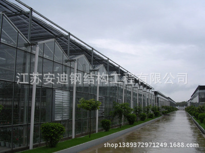 安迪供應(yīng) 玻璃溫室 頂部全開啟式連棟溫室 溫室大棚 連棟溫室