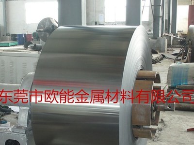供應(yīng)進(jìn)口304超薄不銹鋼帶 0.01mm