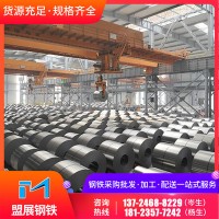 廣東廠家批發(fā)零售SPCC首鋼冷軋卷板 DC01拉伸冷板可開平分條加工