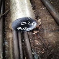 東北特鋼供應(yīng) 樂從DC53圓鋼DC53車光料口罩機(jī)齒模滾齒專用鋼