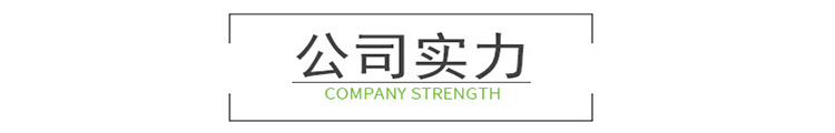 公司實(shí)力