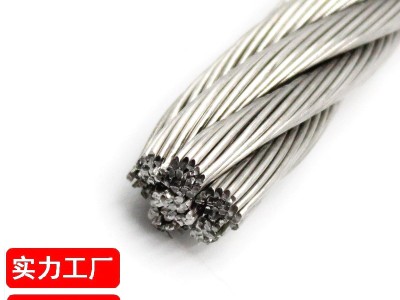 天利 304不銹鋼絲繩10mm毫米 起吊索道卷揚(yáng)機(jī)電動葫蘆用軟繩 7*19