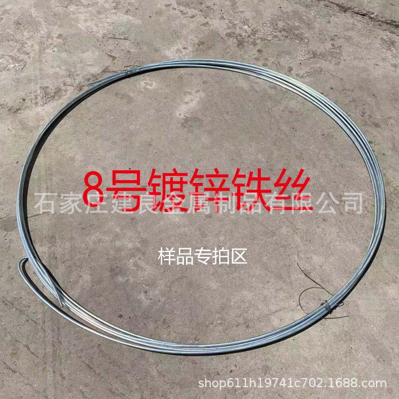 8號樣品