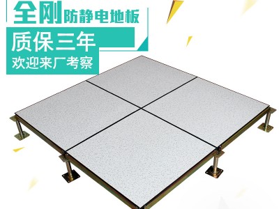 全鋼防靜電地板架空活動地機房電腦房學(xué)校專用抗靜電地板600*600