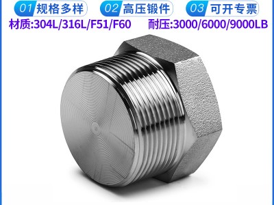 批發(fā) 外六角實心堵頭 NPT耐400KG高壓管件 304/316L絲牙螺紋堵頭