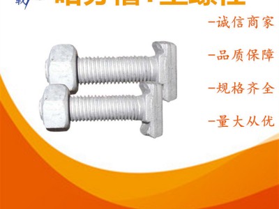 熱鍍鋅T形螺栓 道岔專用T型墊板螺栓 哈芬槽T型螺絲幕墻預(yù)埋件