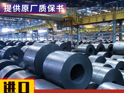 德國進口1.4563現(xiàn)貨鎳合金Sanicro28原廠質(zhì)保00cr27ni31Mo3Cu悅廷