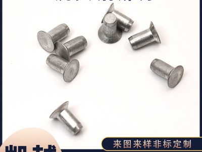 批發(fā)沉頭鋁鉚釘 鋁制實心鉚釘 平帽鋁釘 錐型平頭柳釘 可支持